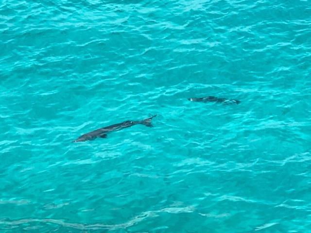 Sommerville Resorts Negril Kültér fotó